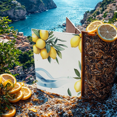 AMALFI Travel Passport Cover